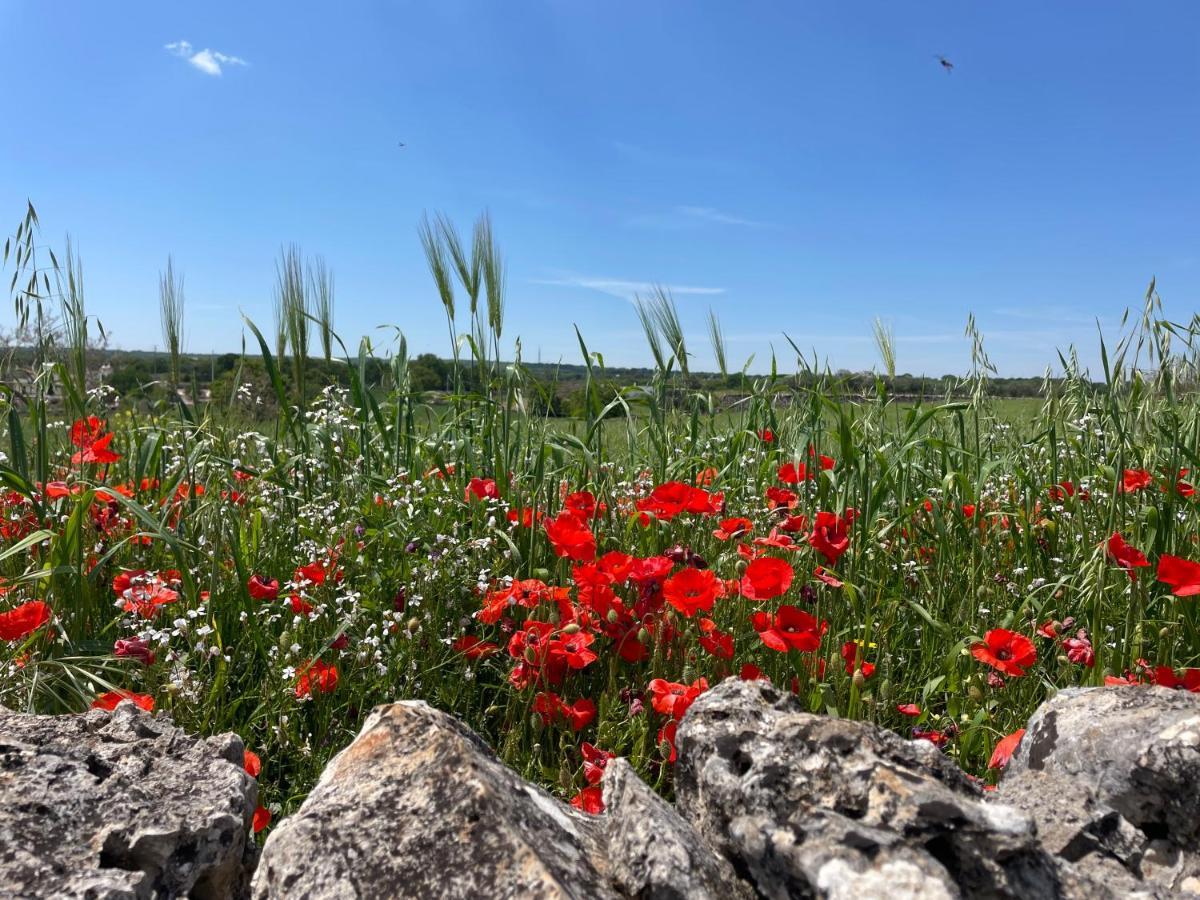Trullo Trullallero Martina Franca Dış mekan fotoğraf