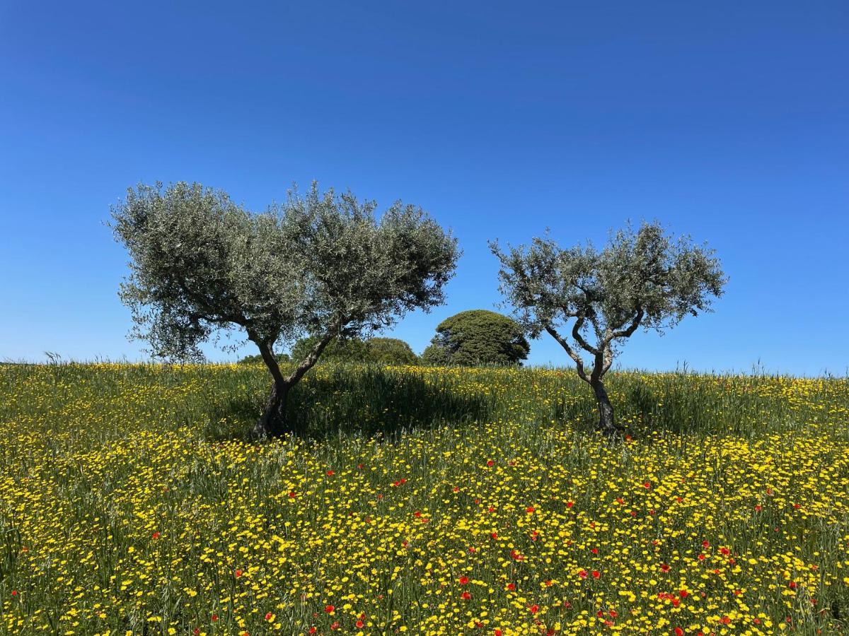 Trullo Trullallero Martina Franca Dış mekan fotoğraf