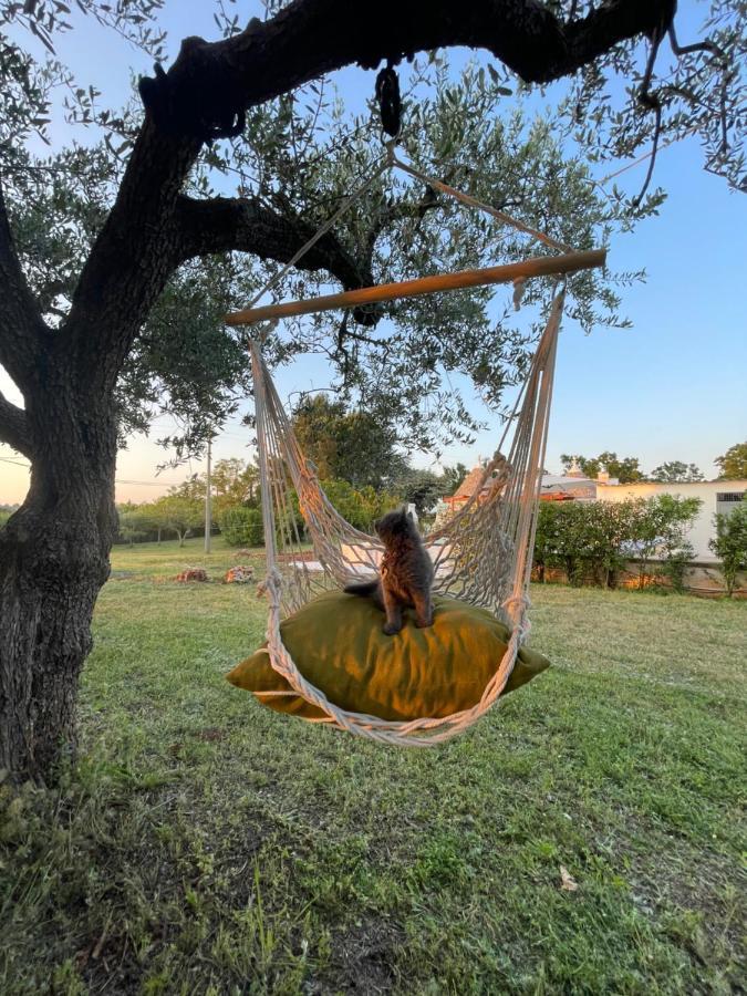Trullo Trullallero Martina Franca Dış mekan fotoğraf